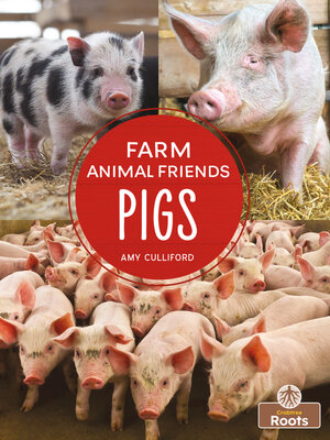 cover image of Pigs